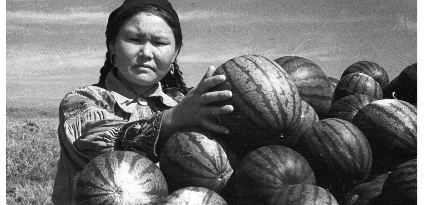 Исторический дайджест главной библиотеки Хакасии пополнился новой краеведческой находкой о сибирских арбузах