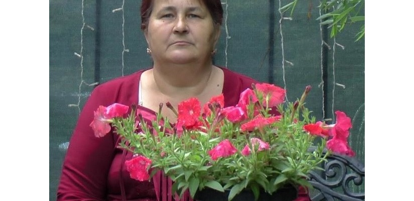 В клубе «Моя родословная» обсудят женское полногеномное исследование