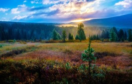 В Клубе инвалидов по зрению откроется фотовыставка Максима Ахпашева в рамках инклюзивной лаборатории «Особый взгляд»