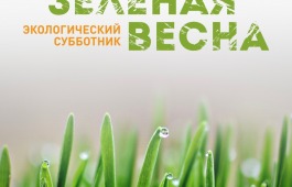 Зеленая весна