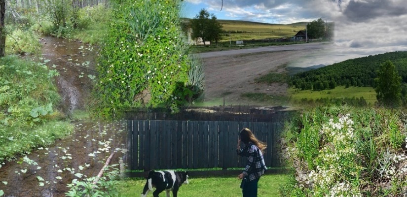 Определен Приз зрительских симпатий в номинации «Фотографии и фотоколлажи «Наш общий дом - Хакасия!»