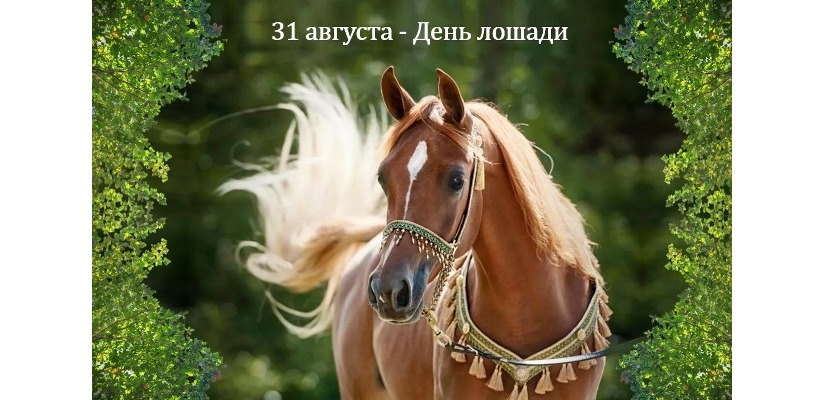 Творческие коллективы Национального центра Кадышева выступят на празднике «День лошади» в аале Сапогов