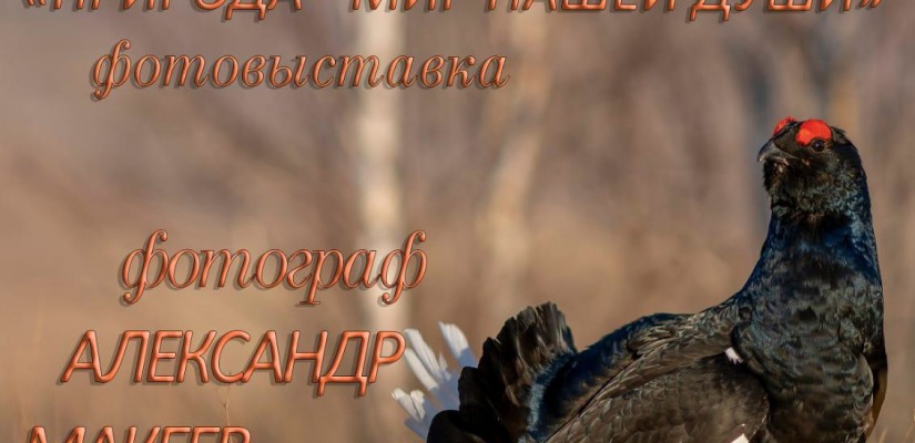Фотовыставка «Природа — мир нашей души» откроется в Национальном музее Хакасии