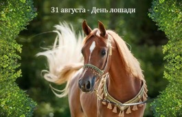 Творческие коллективы Национального центра Кадышева выступят на празднике «День лошади» в аале Сапогов