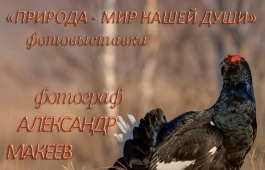Фотовыставка «Природа — мир нашей души» откроется в Национальном музее Хакасии