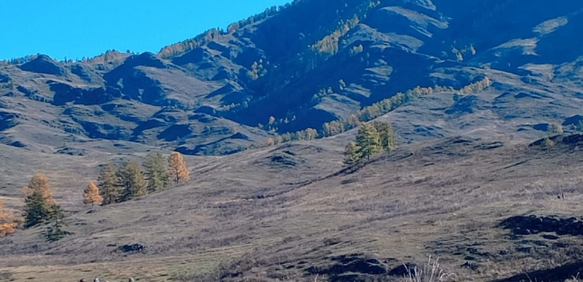 Ландшафты Хакасии: взгляд фотолюбителей на природу родной республики