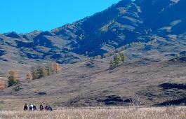 Ландшафты Хакасии: взгляд фотолюбителей на природу родной республики