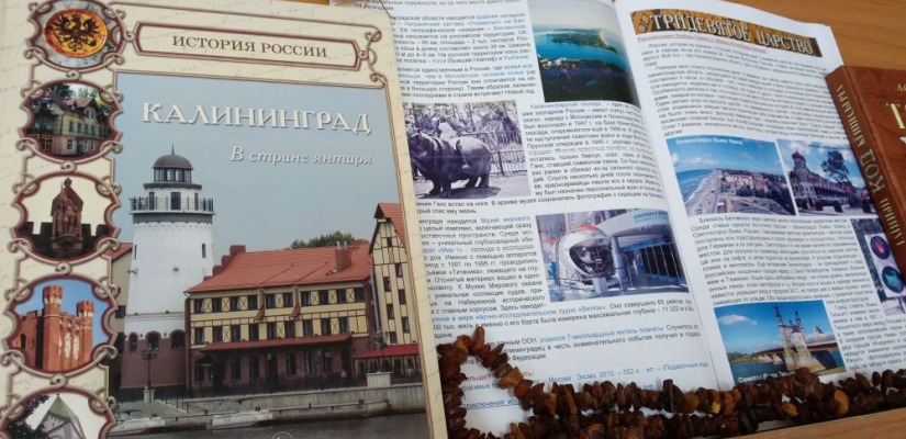 От легенд до современных маршрутов: детская библиотека знакомит с Калининградской областью в новом выпуске «Читалки»