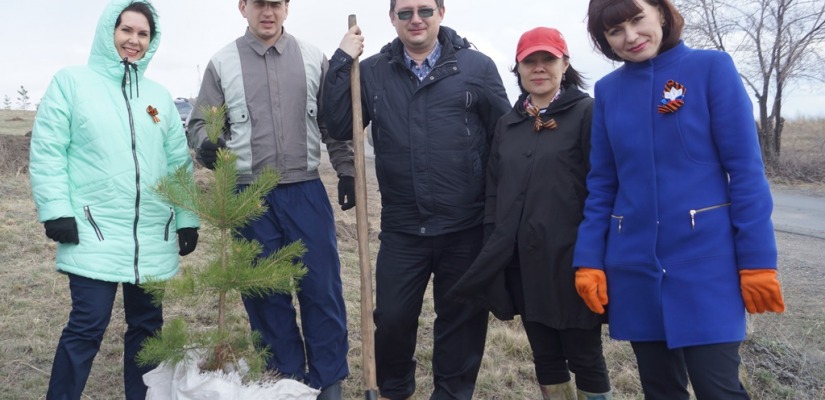 Сотрудники министерства культуры Хакасии поучаствовали в акции «Лес Победы»