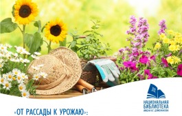 В главной библиотеке Хакасии работает традиционная выставка «От рассады к урожаю»