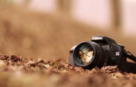 В Хакасии стартовал фотоконкурс «Природа в объективе»