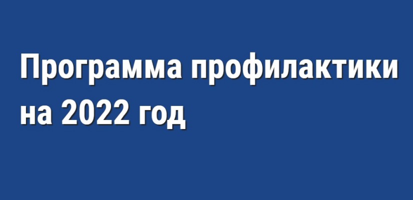 Профилактика рисков причинения вреда (ущерба) охраняемым законом ценностям