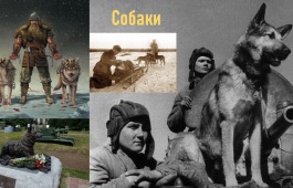 «Животные на страже родины»