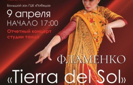 Концерт студии танца фламенко «Tierra del Sol» доступен по Пушкинской карте!