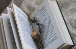 Главная библиотека Хакасии расскажет читателям о книжных гороскопах